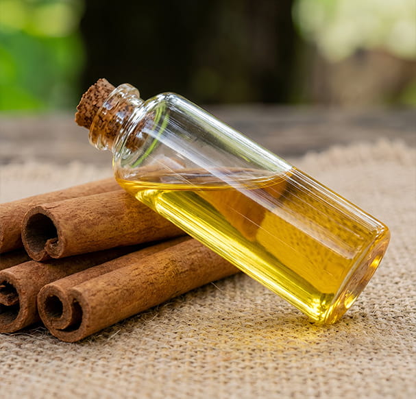 EcoRefyne Cinnamon Oil