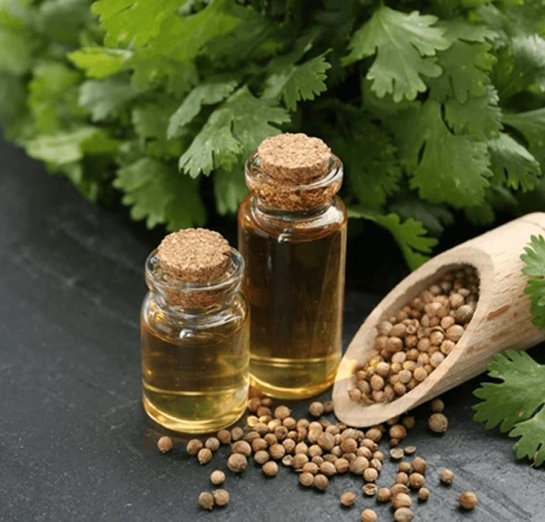 EcoRefyne Coriander Oil