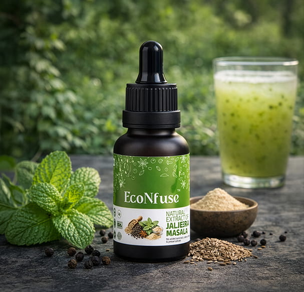 EcoNfuse Jaljeera Masala