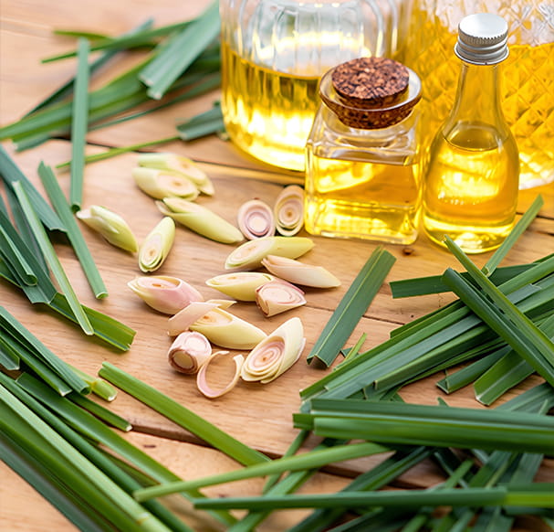 EcoRefyne Lemongrass Oil