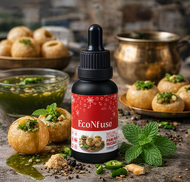 EcoNfuse Pani Puri Masala