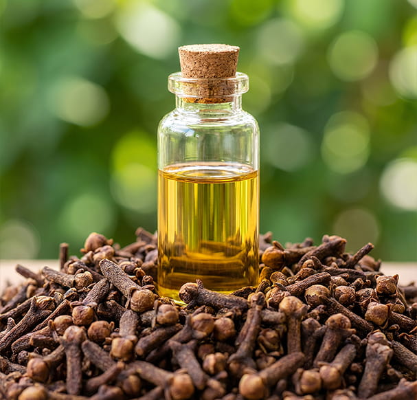 EcoRefyne Clove Bud Oil