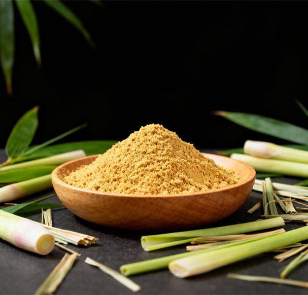 EcoDrySpece Lemongrass
